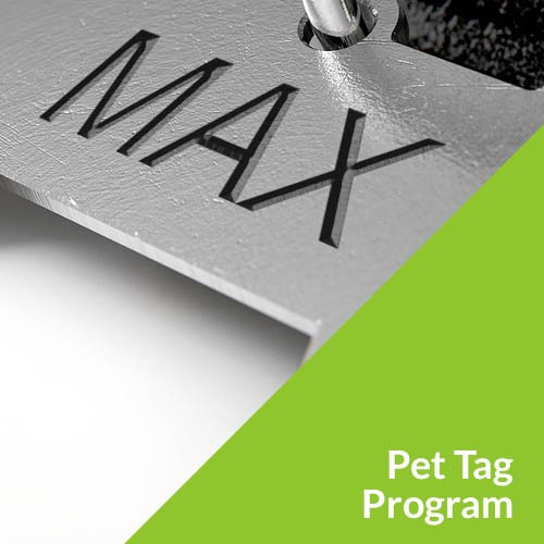 Pet Tag Program